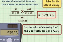 20 Prediksi hk berdasarkan ekor harian | top syd